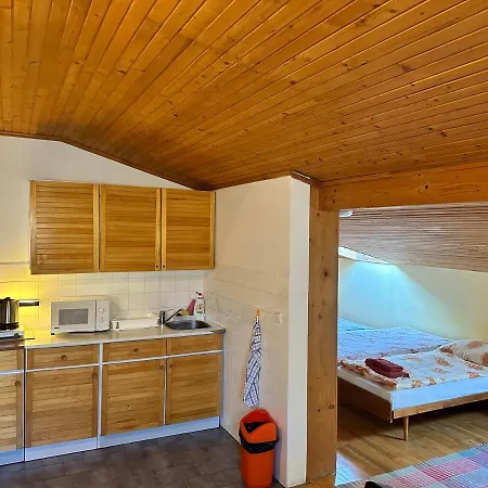 Guest house Pazicky 2*