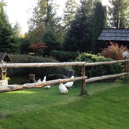 Pazicky Guest house