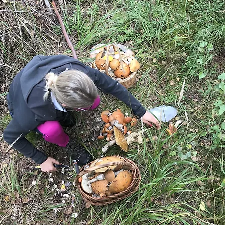 Pazicky Гостевой дом