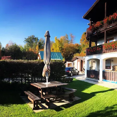 Guest house Pazicky 2*