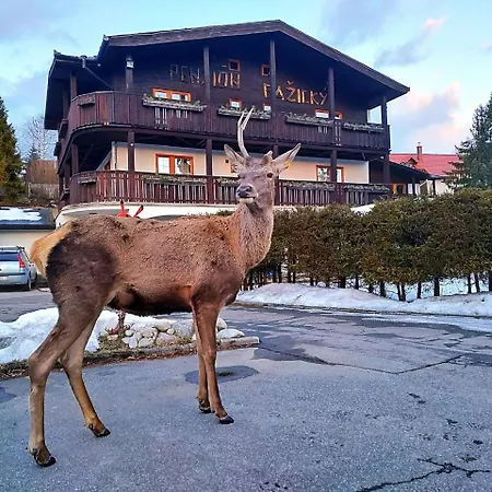בית הארחה Pazicky טטרנסקה לומניקה