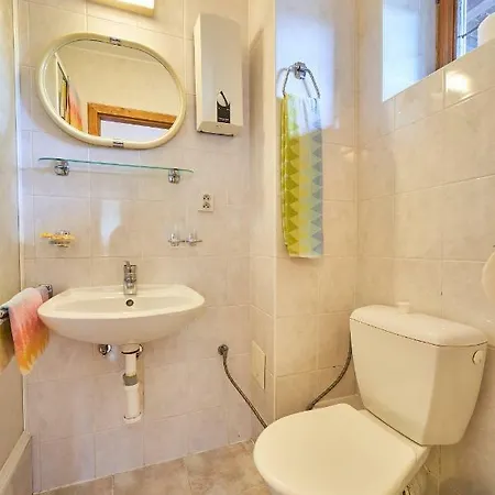 Guest house Pazicky 2*