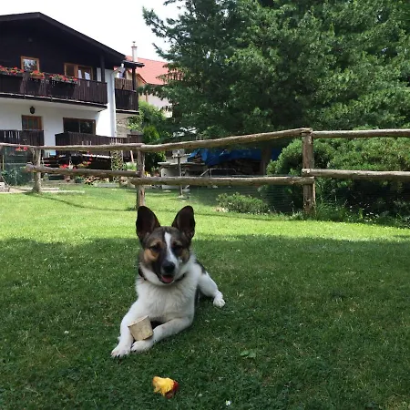 Pazicky Guest house
